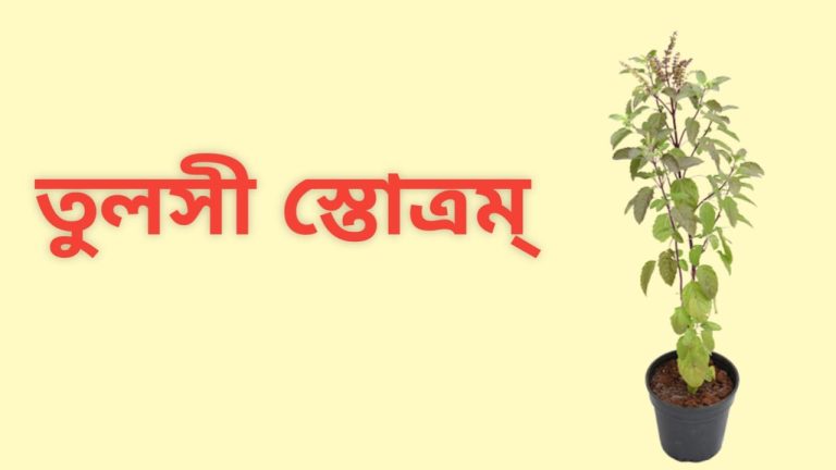 Tulsi Stotram